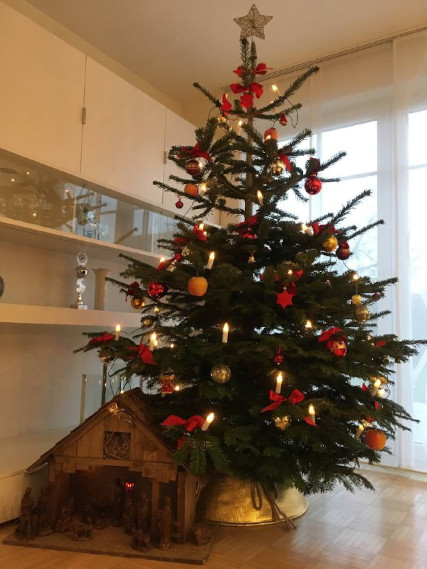 Weihnachtsbaum