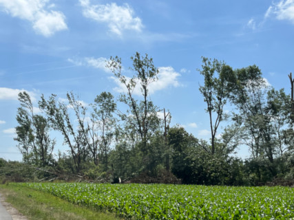 Spuren des Tornados