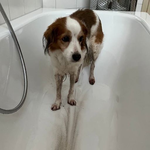 Lotta in der Badewanne