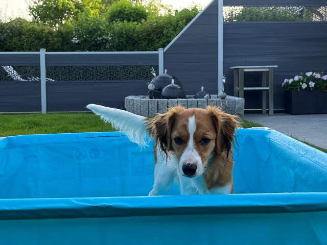 Kaja im Planschbecken